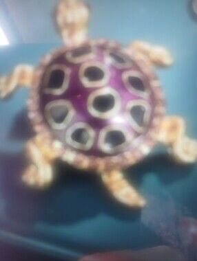 Turtle Brooch